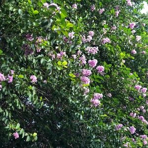 Meet your Posher, Gregory